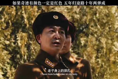 颜十六已到案回国，正义的胜利与归途