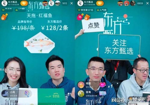 董宇辉与东方甄选，告别同台，各自为王
