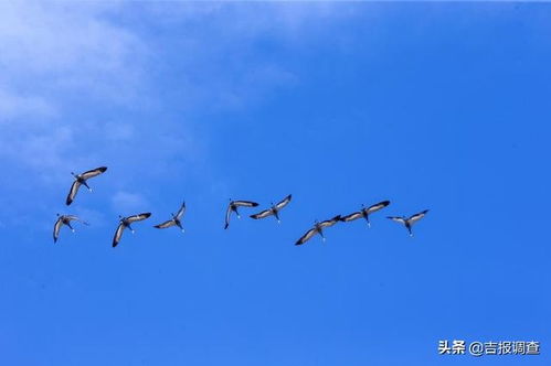 每周飞翔，只为追求纯净的沐浴体验