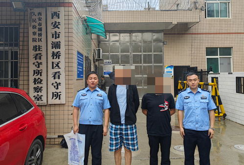 黄牛非法兜售门票遭抓，百余张身份证成犯罪工具