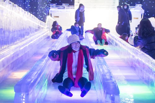 尔滨遇亚冬，冰雪更加闪亮