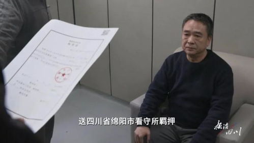 正厅级干部李成武任上主动投案，自我纠错与责任担当的典范