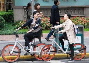 骑行热潮持续升温，上海凤凰何以陷入困境？