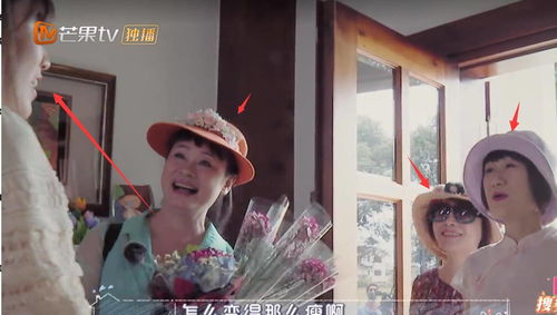 黄杨钿甜父亲被立案调查，一场家庭风波的背后