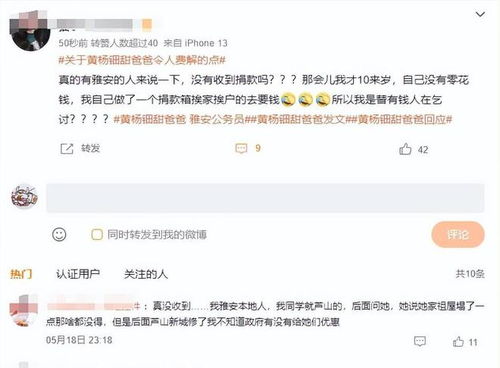 黄杨钿甜父亲面临的法律处罚与反思